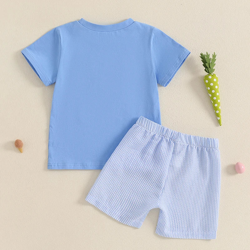 4-6Years Kids Baby Boys Easter Outfits Bunny Carrot Pattern Short Sleeves T-Shirt and Elastic Shorts 2 Piece Summer Set