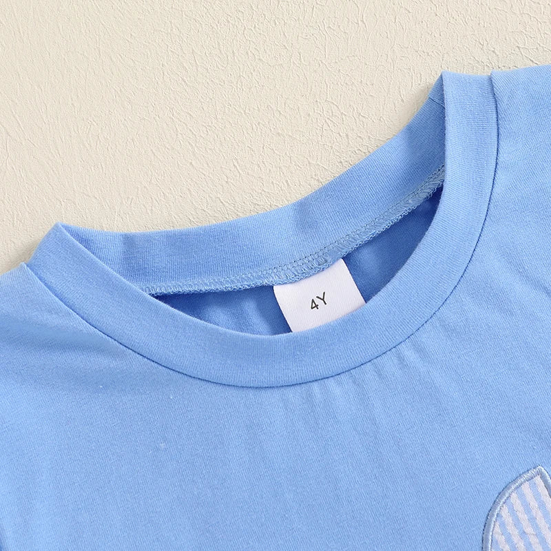 4-6Years Kids Baby Boys Easter Outfits Bunny Carrot Pattern Short Sleeves T-Shirt and Elastic Shorts 2 Piece Summer Set